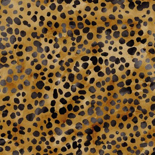 Estampado Animal Print 15